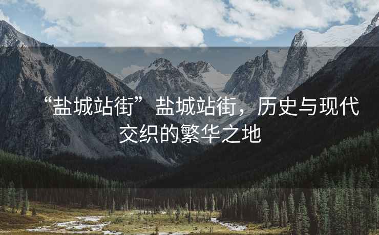 “鹽城站街”鹽城站街，歷史與現代交織的繁華之地