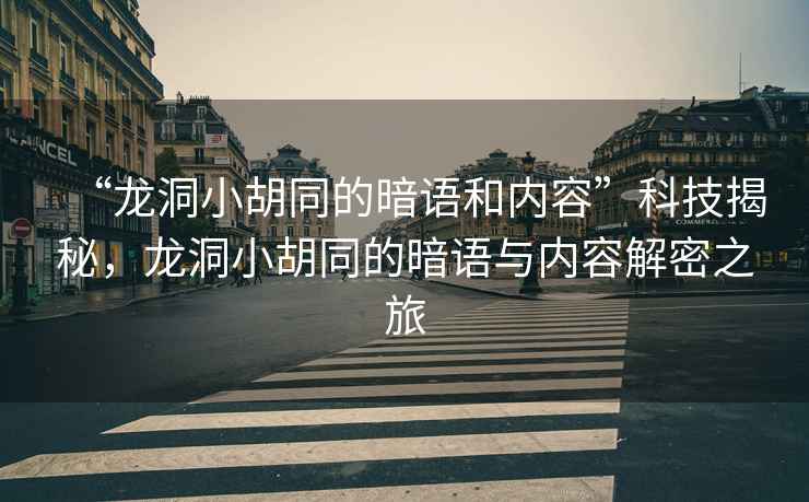 “龍洞小胡同的暗語和內容”科技揭秘，龍洞小胡同的暗語與內容解密之旅