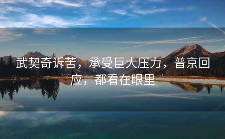 武契奇訴苦，承受巨大壓力，普京回應(yīng)，都看在眼里