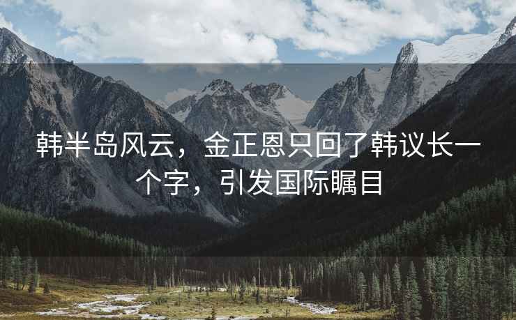 韓半島風云，金正恩只回了韓議長一個字，引發(fā)國際矚目