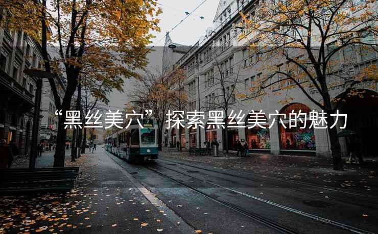 “黑絲美穴”探索黑絲美穴的魅力