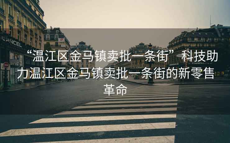 “溫江區金馬鎮賣批一條街”科技助力溫江區金馬鎮賣批一條街的新零售革命