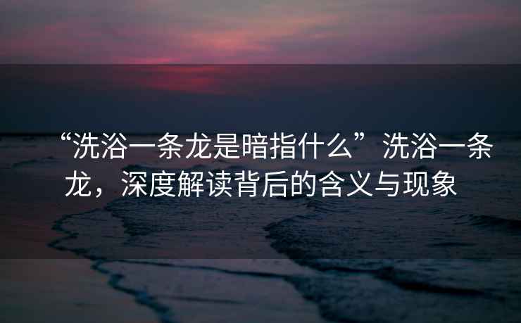 “洗浴一條龍是暗指什么”洗浴一條龍，深度解讀背后的含義與現象