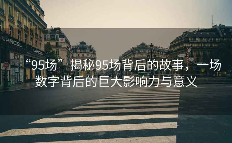 “95場”揭秘95場背后的故事，一場數字背后的巨大影響力與意義