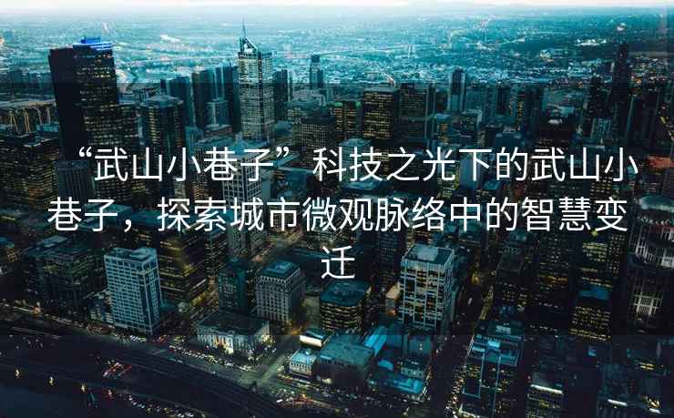 “武山小巷子”科技之光下的武山小巷子，探索城市微觀脈絡中的智慧變遷