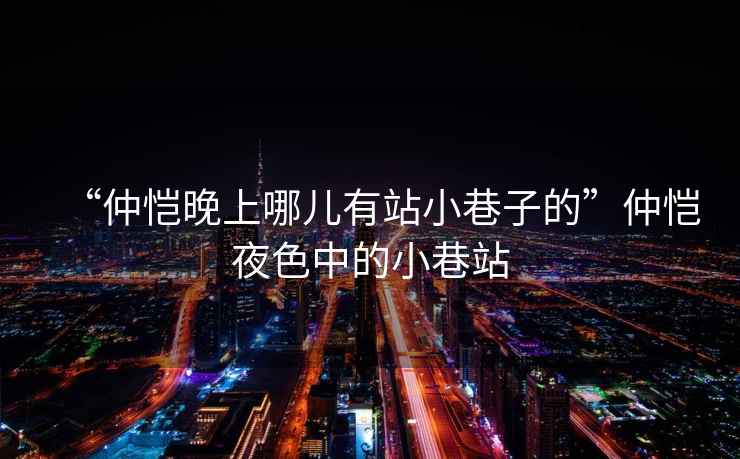 “仲愷晚上哪兒有站小巷子的”仲愷夜色中的小巷站