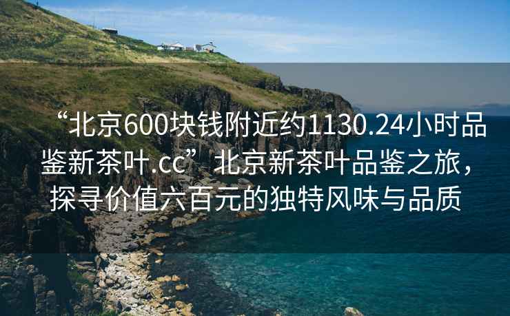“北京600塊錢附近約1130.24小時(shí)品鑒新茶葉.cc”北京新茶葉品鑒之旅，探尋價(jià)值六百元的獨(dú)特風(fēng)味與品質(zhì)
