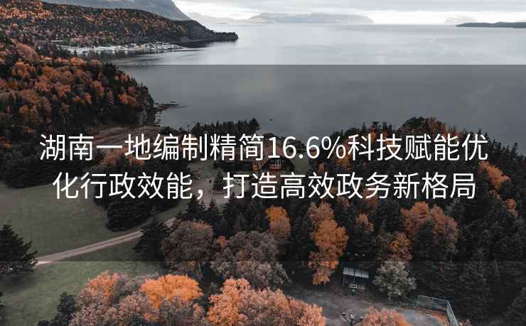 湖南一地編制精簡16.6%科技賦能優化行政效能，打造高效政務新格局
