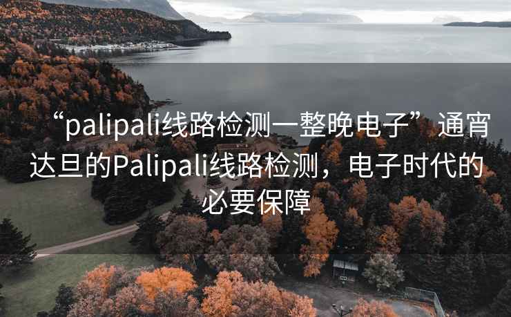 “palipali線路檢測一整晚電子”通宵達旦的Palipali線路檢測，電子時代的必要保障