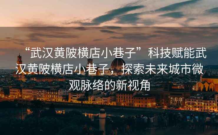 “武漢黃陂橫店小巷子”科技賦能武漢黃陂橫店小巷子，探索未來城市微觀脈絡的新視角