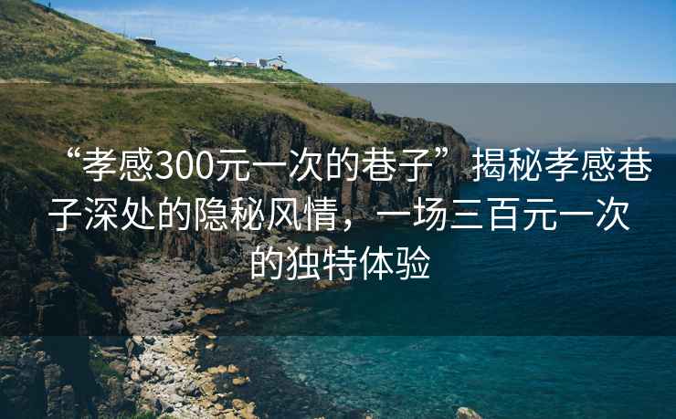 “孝感300元一次的巷子”揭秘孝感巷子深處的隱秘風情，一場三百元一次的獨特體驗