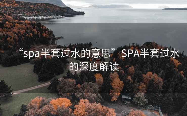“spa半套過水的意思”SPA半套過水的深度解讀