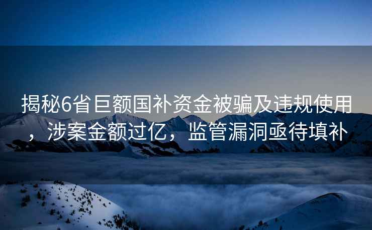 揭秘6省巨額國補(bǔ)資金被騙及違規(guī)使用，涉案金額過億，監(jiān)管漏洞亟待填補(bǔ)
