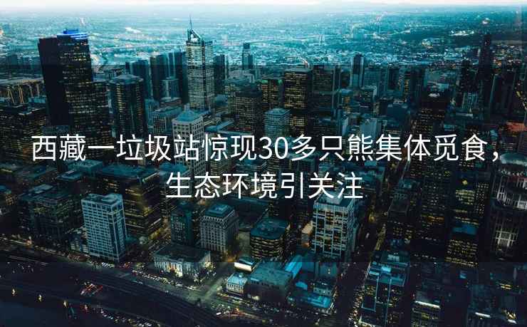 西藏一垃圾站驚現30多只熊集體覓食，生態環境引關注