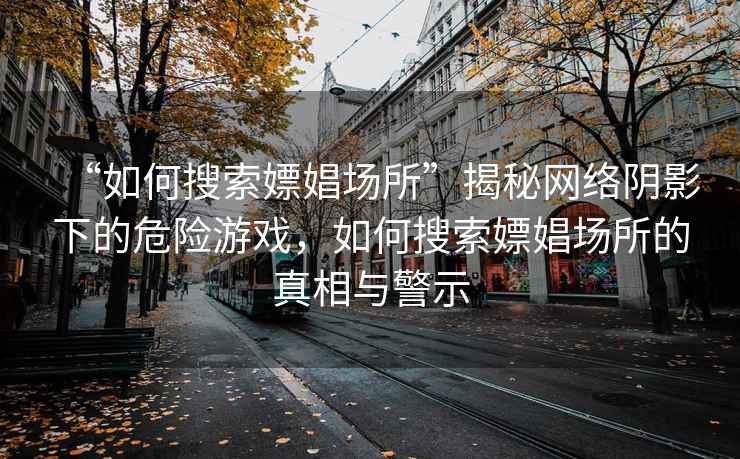 “如何搜索嫖娼場所”揭秘網絡陰影下的危險游戲，如何搜索嫖娼場所的真相與警示
