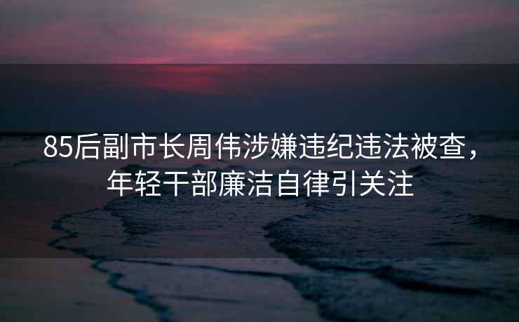 85后副市長周偉涉嫌違紀違法被查，年輕干部廉潔自律引關注