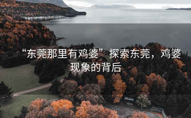“東莞那里有雞婆”探索東莞，雞婆現象的背后