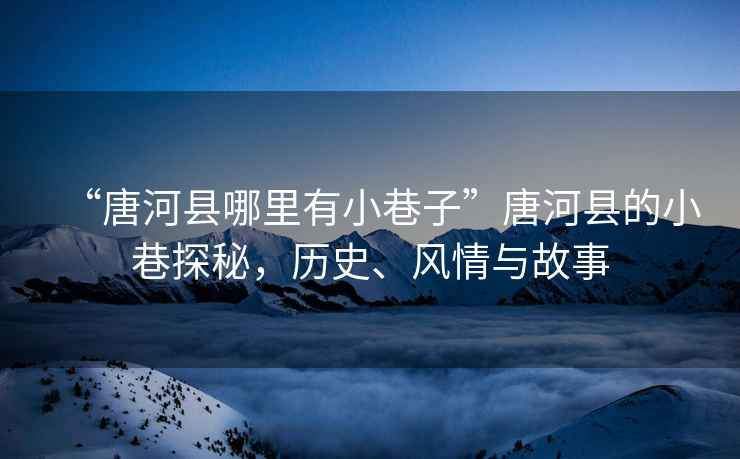 “唐河縣哪里有小巷子”唐河縣的小巷探秘，歷史、風情與故事