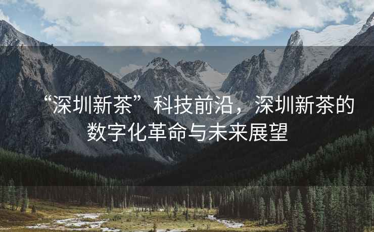 “深圳新茶”科技前沿，深圳新茶的數字化革命與未來展望
