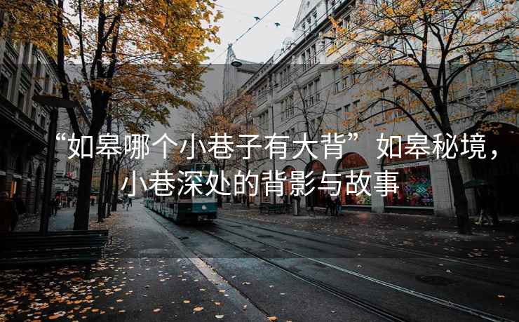 “如皋哪個(gè)小巷子有大背”如皋秘境，小巷深處的背影與故事