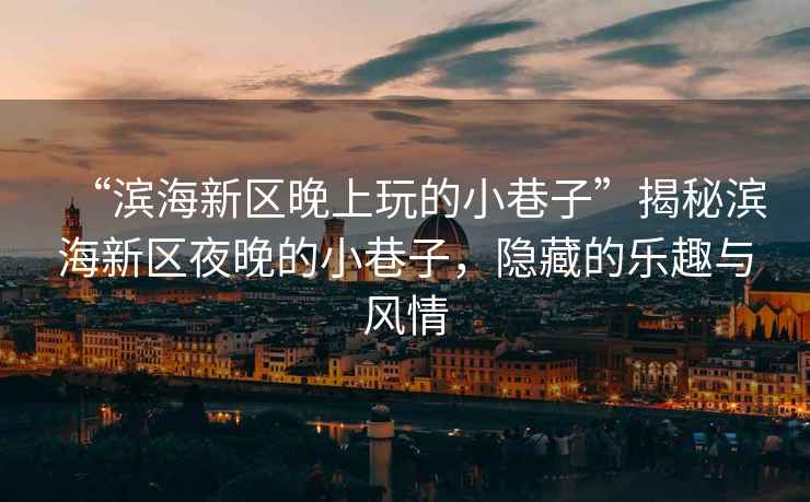 “濱海新區(qū)晚上玩的小巷子”揭秘濱海新區(qū)夜晚的小巷子，隱藏的樂(lè)趣與風(fēng)情