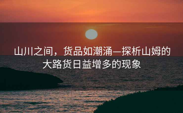 山川之間，貨品如潮涌—探析山姆的大路貨日益增多的現象