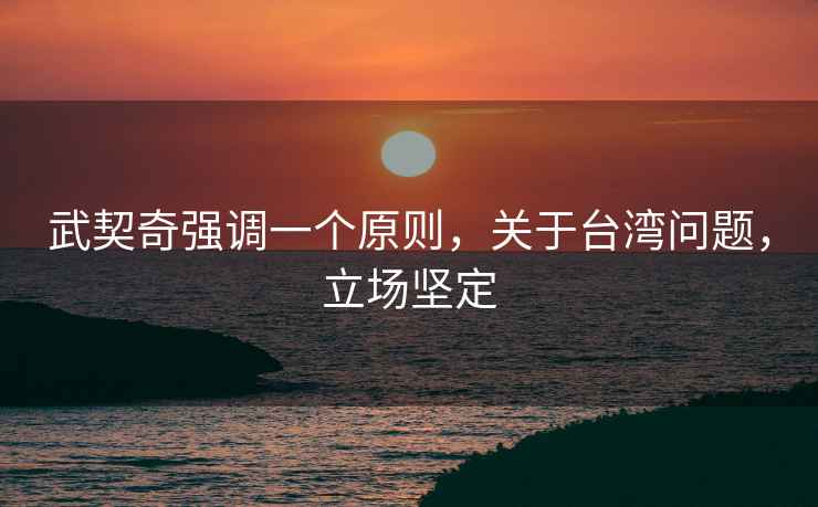 武契奇強調(diào)一個原則，關于臺灣問題，立場堅定