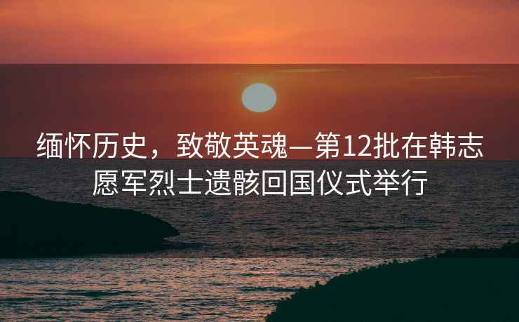 緬懷歷史，致敬英魂—第12批在韓志愿軍烈士遺骸回國儀式舉行