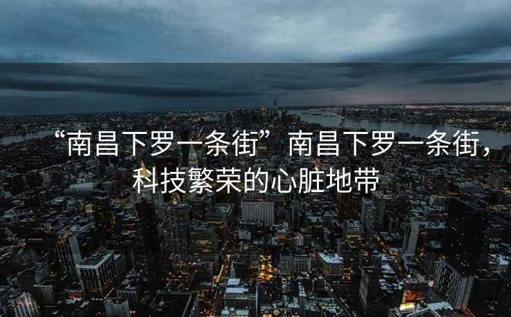 “南昌下羅一條街”南昌下羅一條街，科技繁榮的心臟地帶