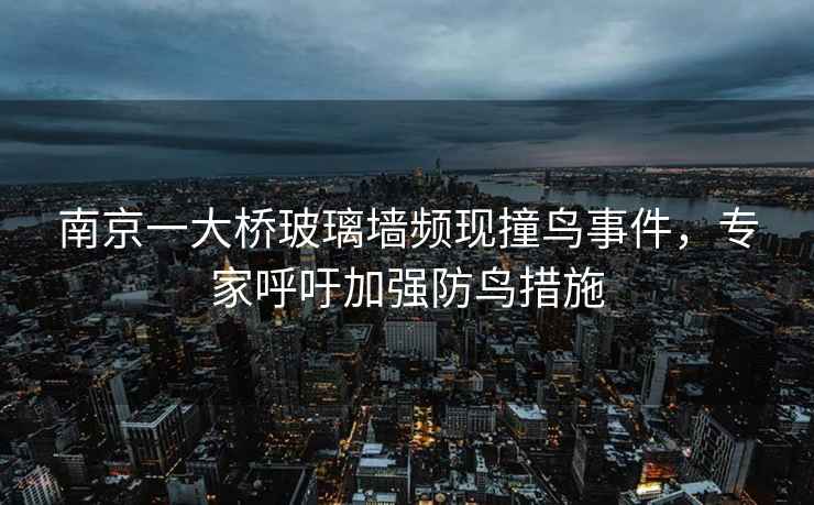 南京一大橋玻璃墻頻現撞鳥事件，專家呼吁加強防鳥措施