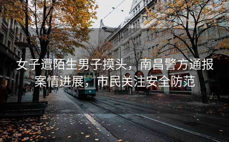 女子遭陌生男子摸頭，南昌警方通報案情進展，市民關(guān)注安全防范