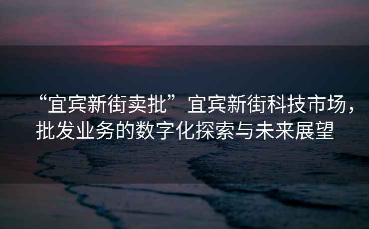 “宜賓新街賣批”宜賓新街科技市場，批發(fā)業(yè)務(wù)的數(shù)字化探索與未來展望