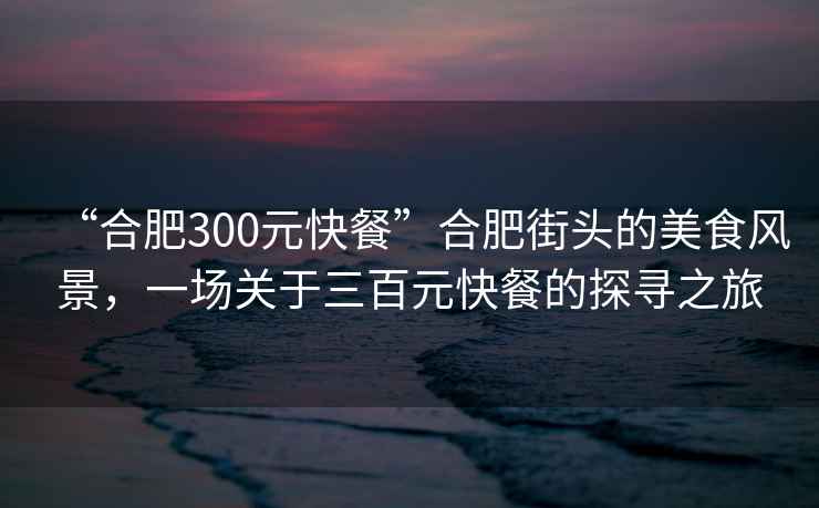 “合肥300元快餐”合肥街頭的美食風景，一場關于三百元快餐的探尋之旅