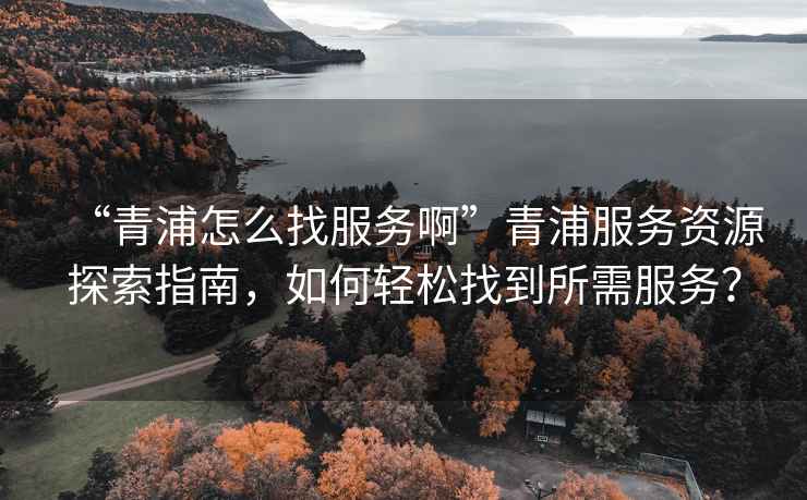 “青浦怎么找服務啊”青浦服務資源探索指南，如何輕松找到所需服務？