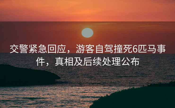交警緊急回應，游客自駕撞死6匹馬事件，真相及后續處理公布