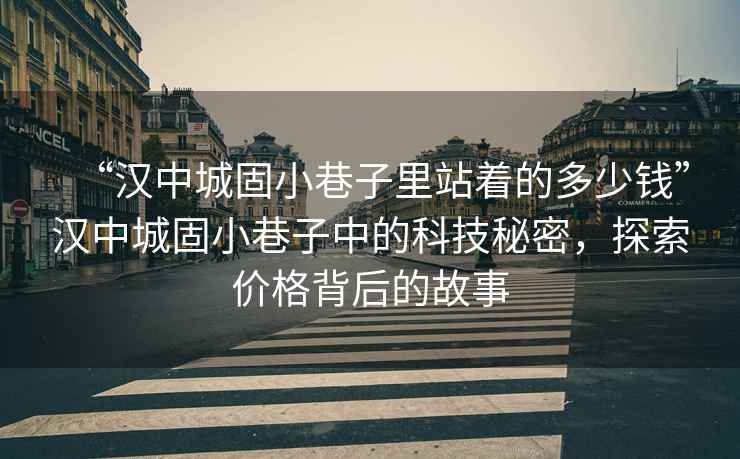 “漢中城固小巷子里站著的多少錢”漢中城固小巷子中的科技秘密，探索價格背后的故事