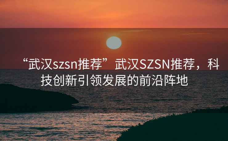 “武漢szsn推薦”武漢SZSN推薦，科技創(chuàng)新引領(lǐng)發(fā)展的前沿陣地