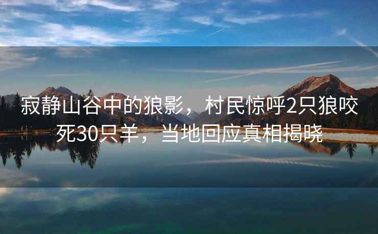 寂靜山谷中的狼影，村民驚呼2只狼咬死30只羊，當(dāng)?shù)鼗貞?yīng)真相揭曉