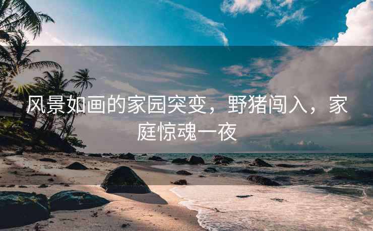 風景如畫的家園突變，野豬闖入，家庭驚魂一夜