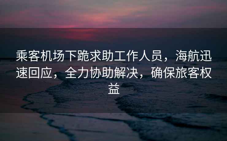 乘客機場下跪求助工作人員，海航迅速回應，全力協助解決，確保旅客權益