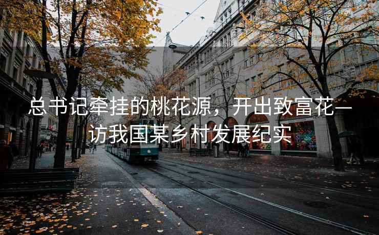 總書記牽掛的桃花源，開出致富花—訪我國某鄉村發展紀實