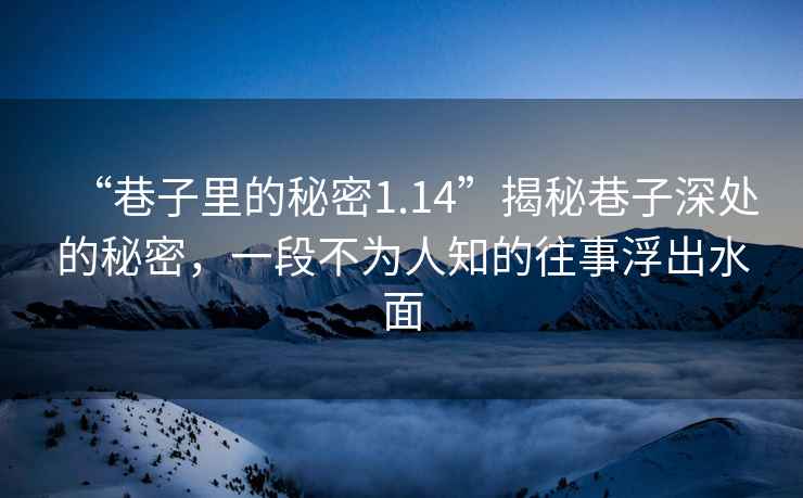 “巷子里的秘密1.14”揭秘巷子深處的秘密，一段不為人知的往事浮出水面