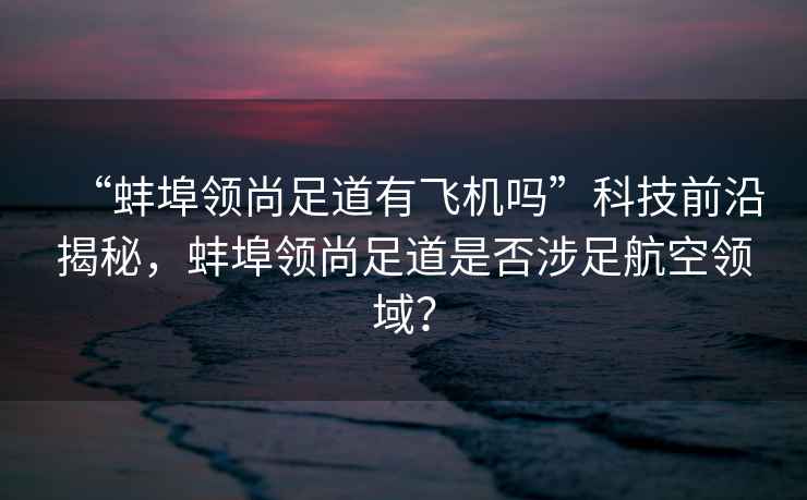 “蚌埠領尚足道有飛機嗎”科技前沿揭秘，蚌埠領尚足道是否涉足航空領域？