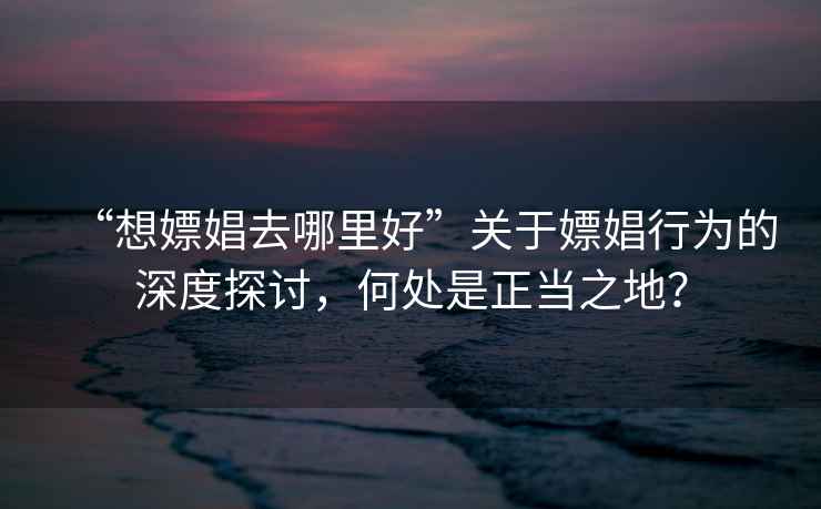 “想嫖娼去哪里好”關于嫖娼行為的深度探討，何處是正當之地？