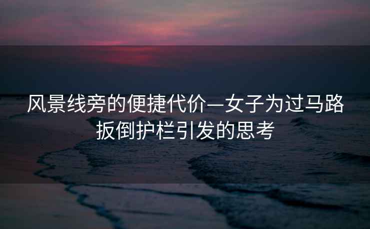 風景線旁的便捷代價—女子為過馬路扳倒護欄引發的思考