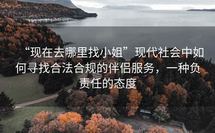 “現在去哪里找小姐”現代社會中如何尋找合法合規的伴侶服務，一種負責任的態度