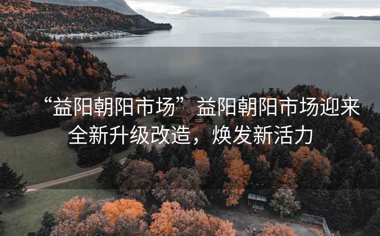 “益陽朝陽市場”益陽朝陽市場迎來全新升級改造，煥發新活力