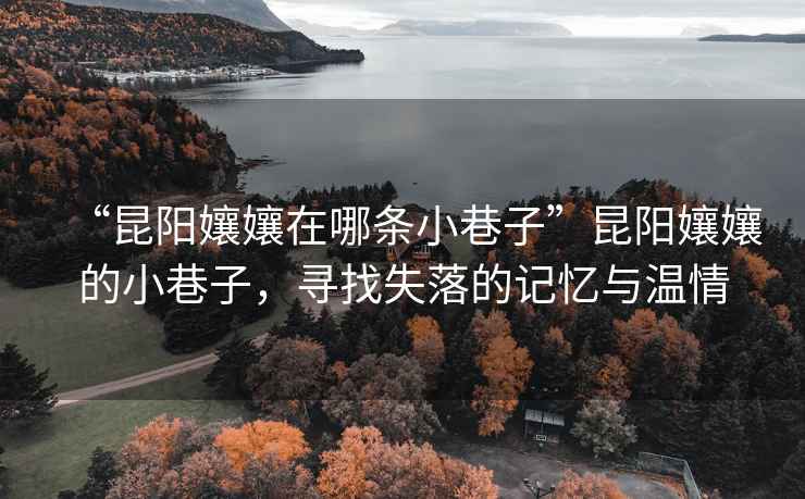 “昆陽孃孃在哪條小巷子”昆陽孃孃的小巷子，尋找失落的記憶與溫情