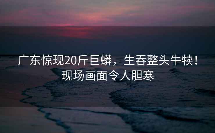 廣東驚現20斤巨蟒，生吞整頭牛犢！現場畫面令人膽寒