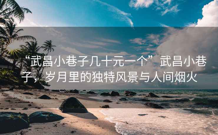 “武昌小巷子幾十元一個”武昌小巷子，歲月里的獨特風景與人間煙火